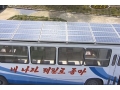 Автобусы Ikarus перевели на солнечные батареи