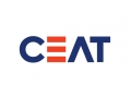 Шинный завод Ceat возобновил производство после пожара